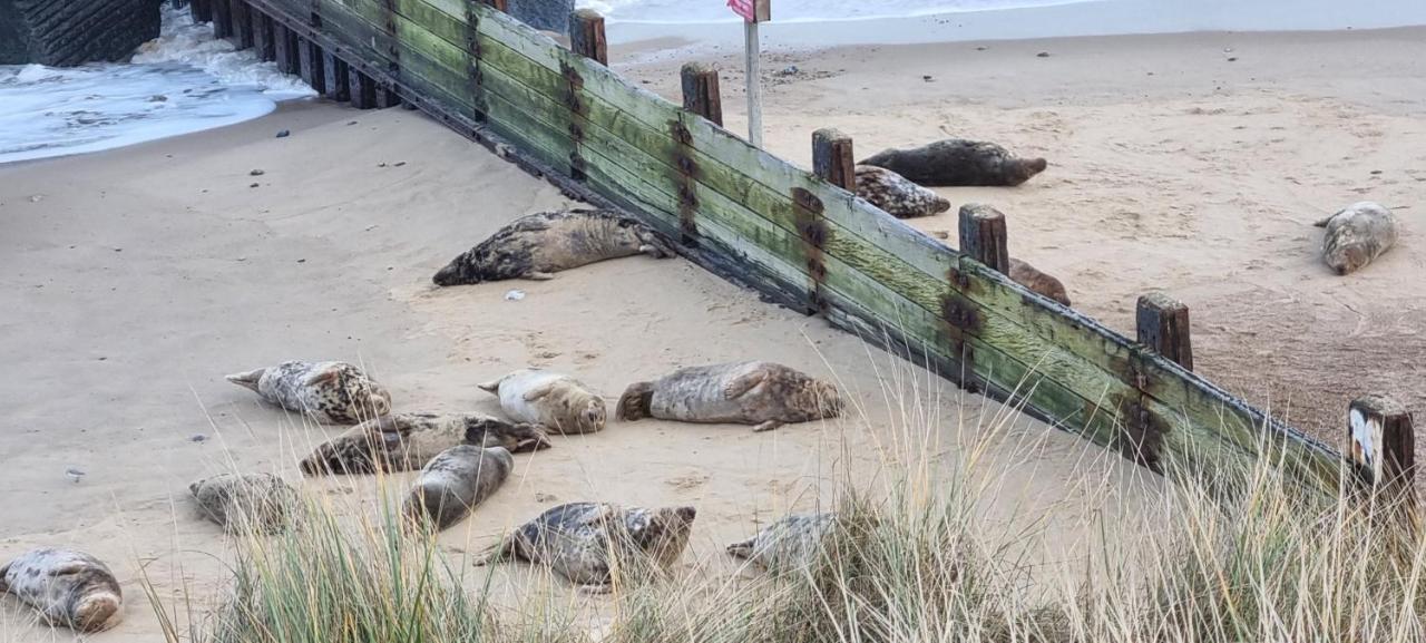 Twin Palms Guesthouse Great Yarmouth Buitenkant foto