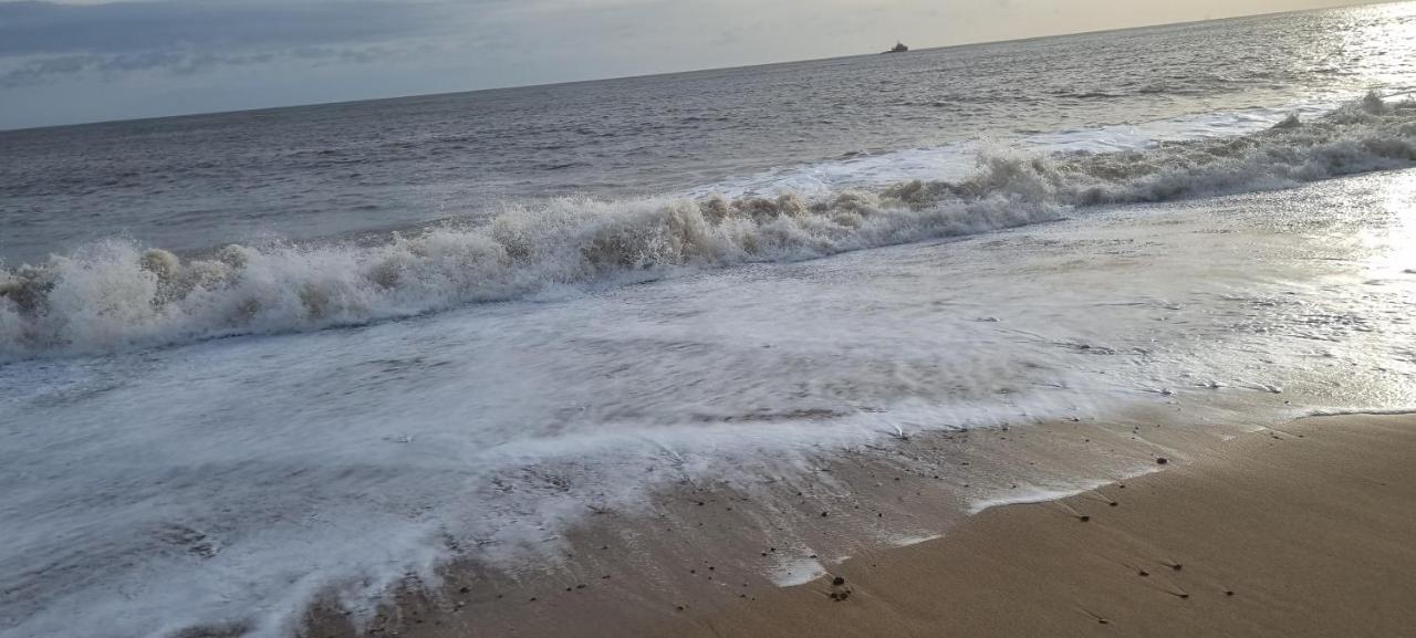 Twin Palms Guesthouse Great Yarmouth Buitenkant foto