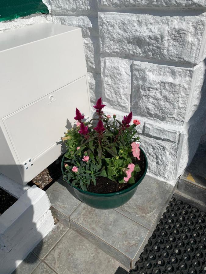 Twin Palms Guesthouse Great Yarmouth Buitenkant foto